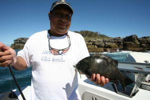 Scientists tuned to drummer beat